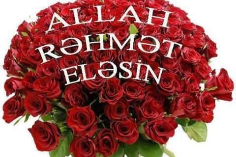 Akademik Nizami Cəfərova ağır itki üz verib